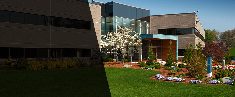 Great Neck Landscapers