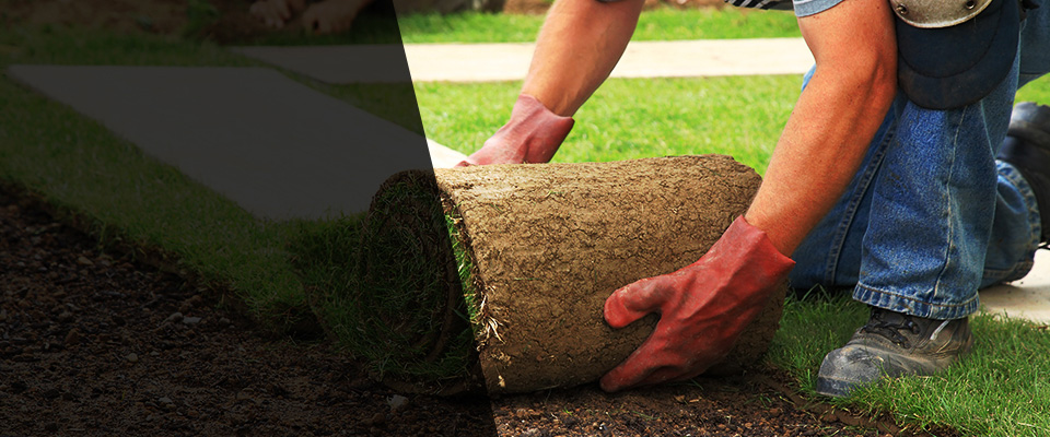 Great Neck Landscapers